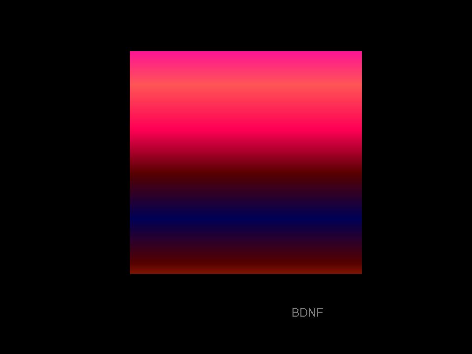 Folie1
